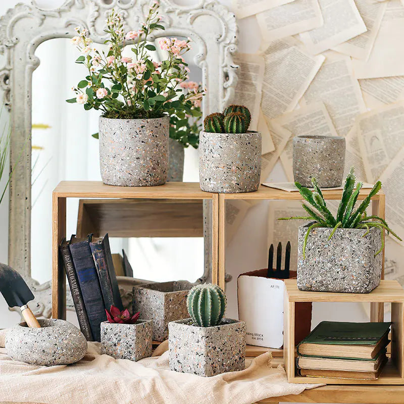 Concrete Succulent Planter – Nue.Aura