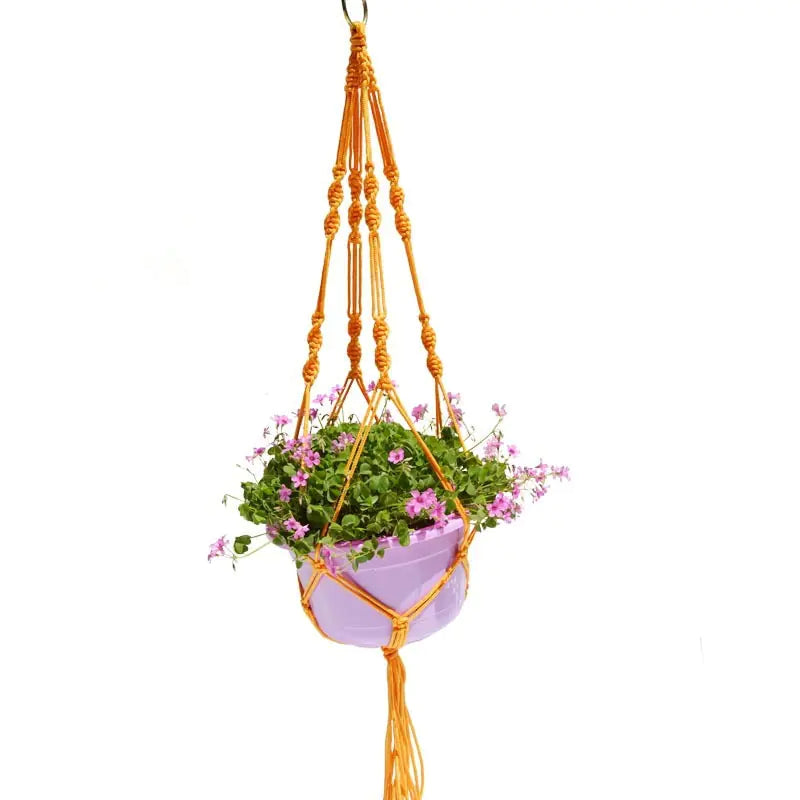 Vibrant Rope Macrame Planter