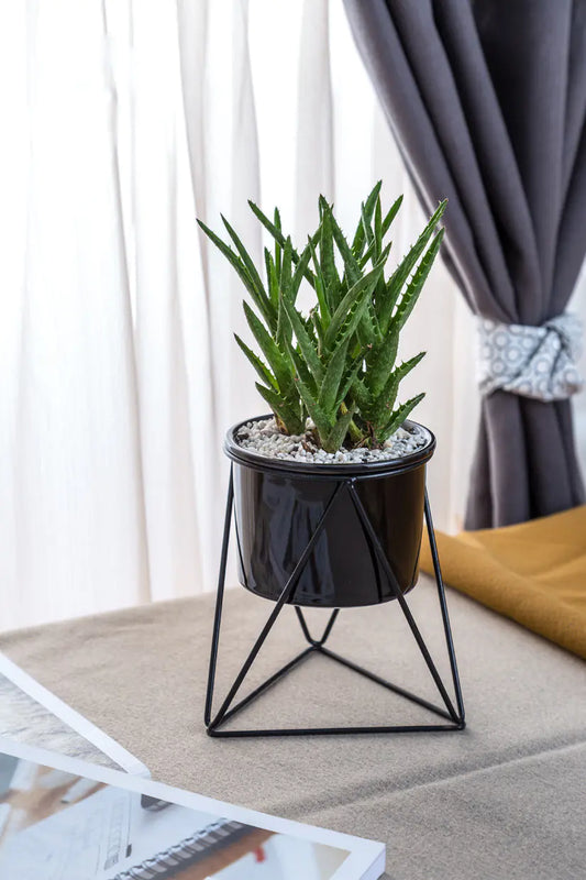Nordic Elegance Ceramic Planter with Iron Stand