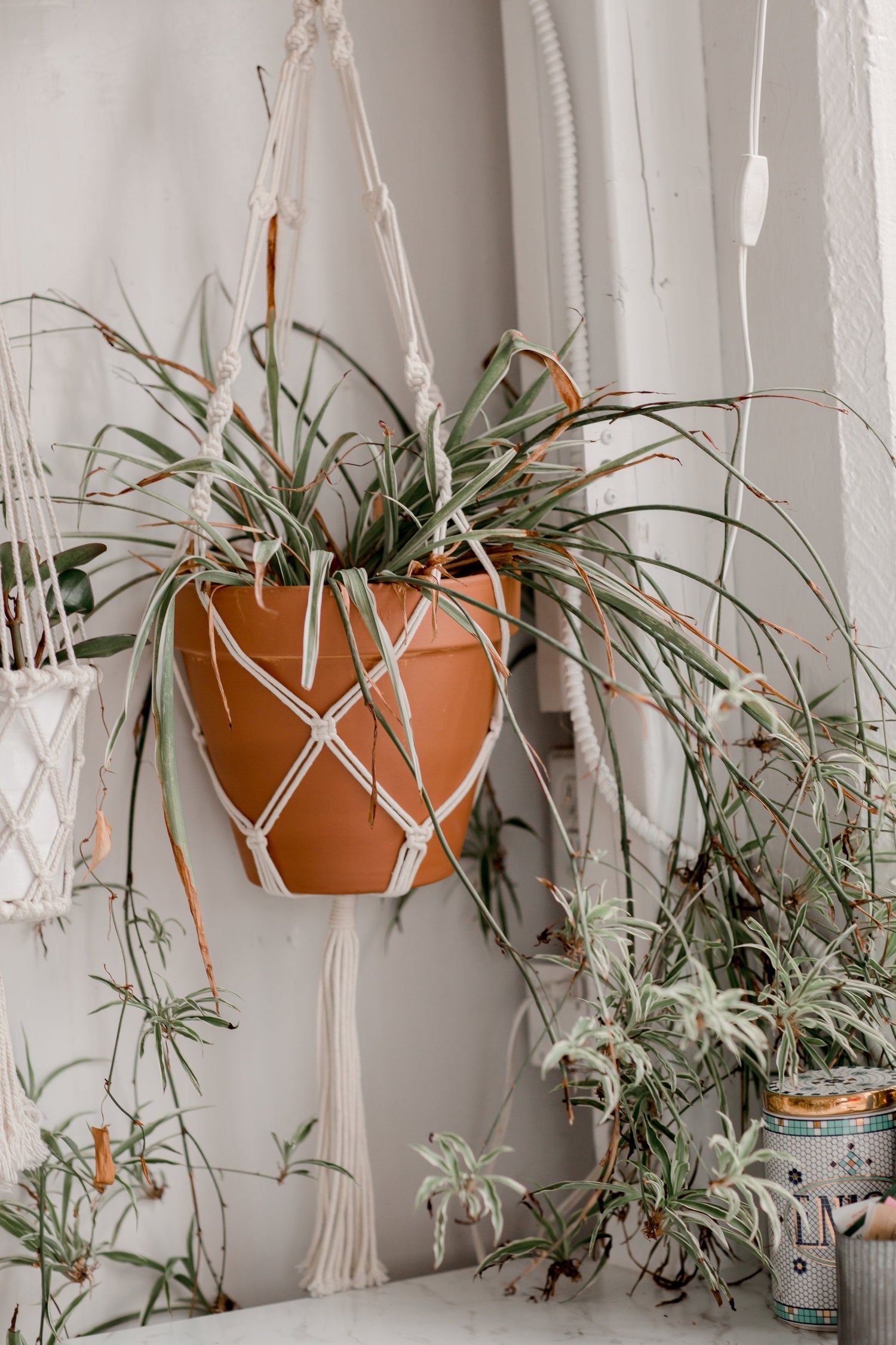 Macramé & Woven Hangers