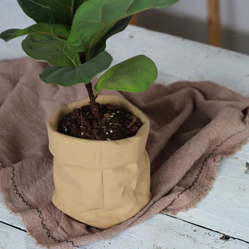 Nordic Cement Leather-Look Planter