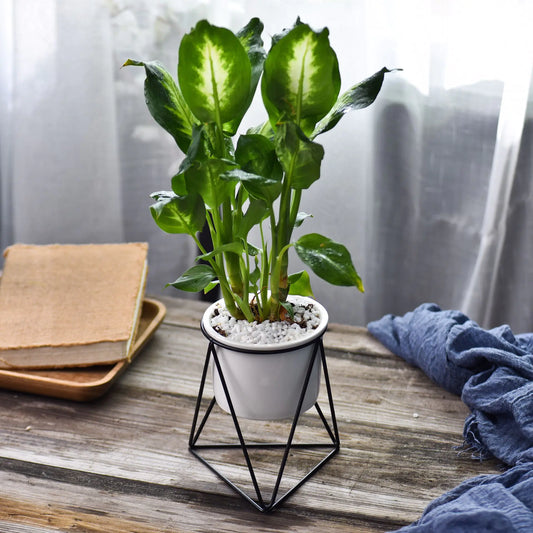 Nordic Elegance Ceramic Planter with Iron Stand