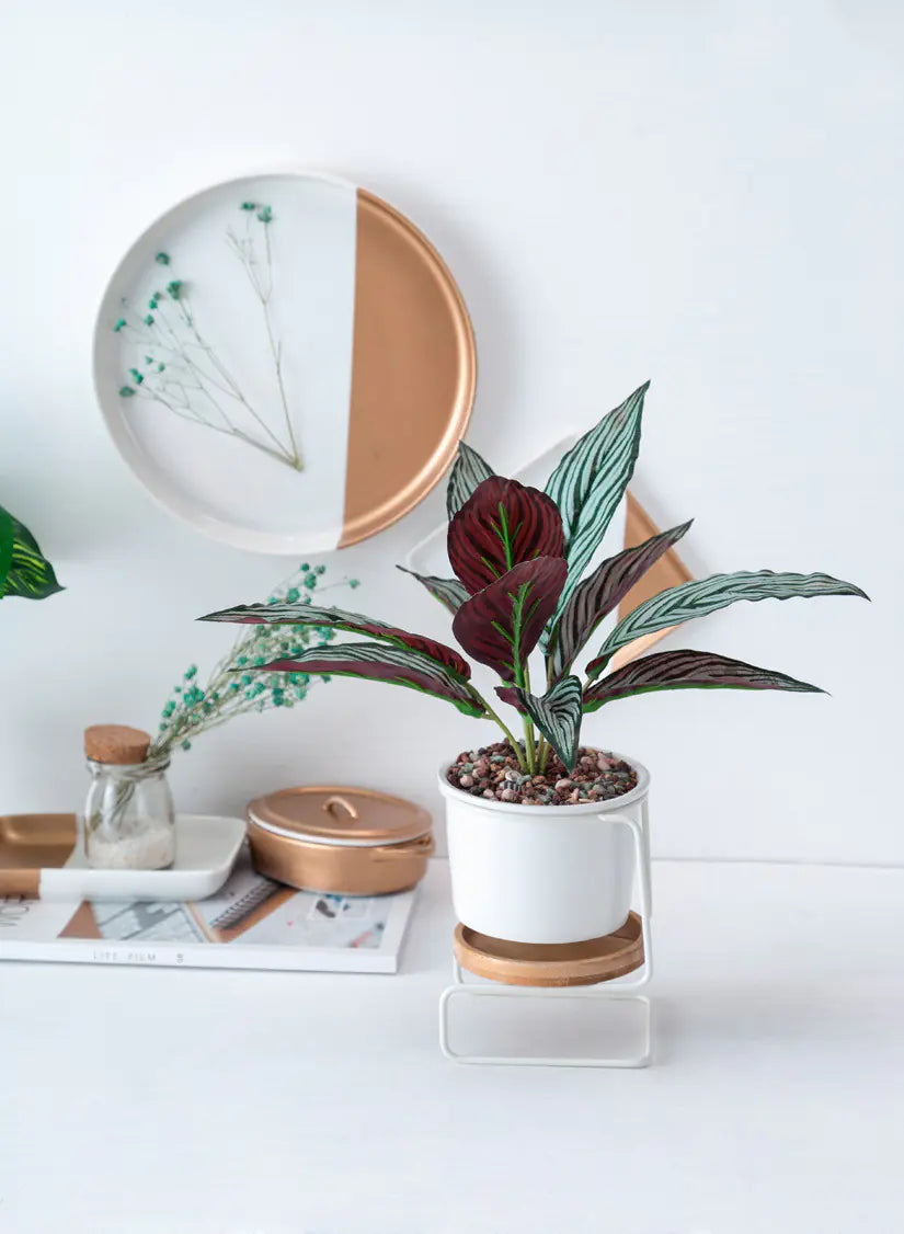 Modern Geometric Planter Set