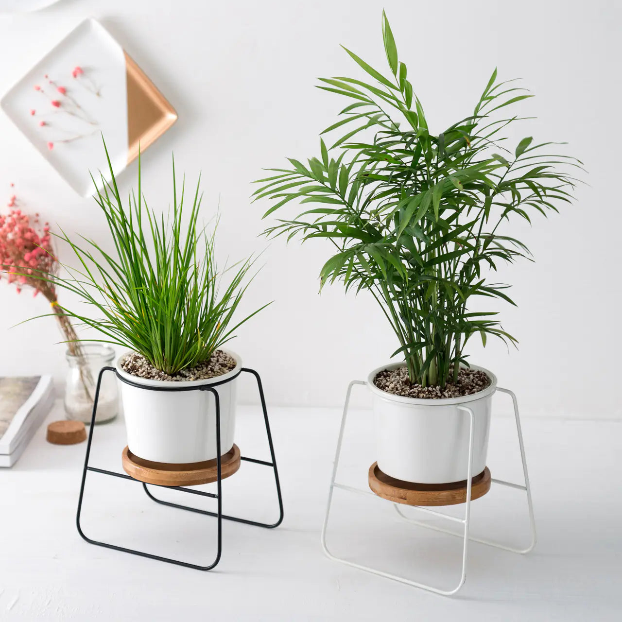 Geometric Planter Set with Iron Stand