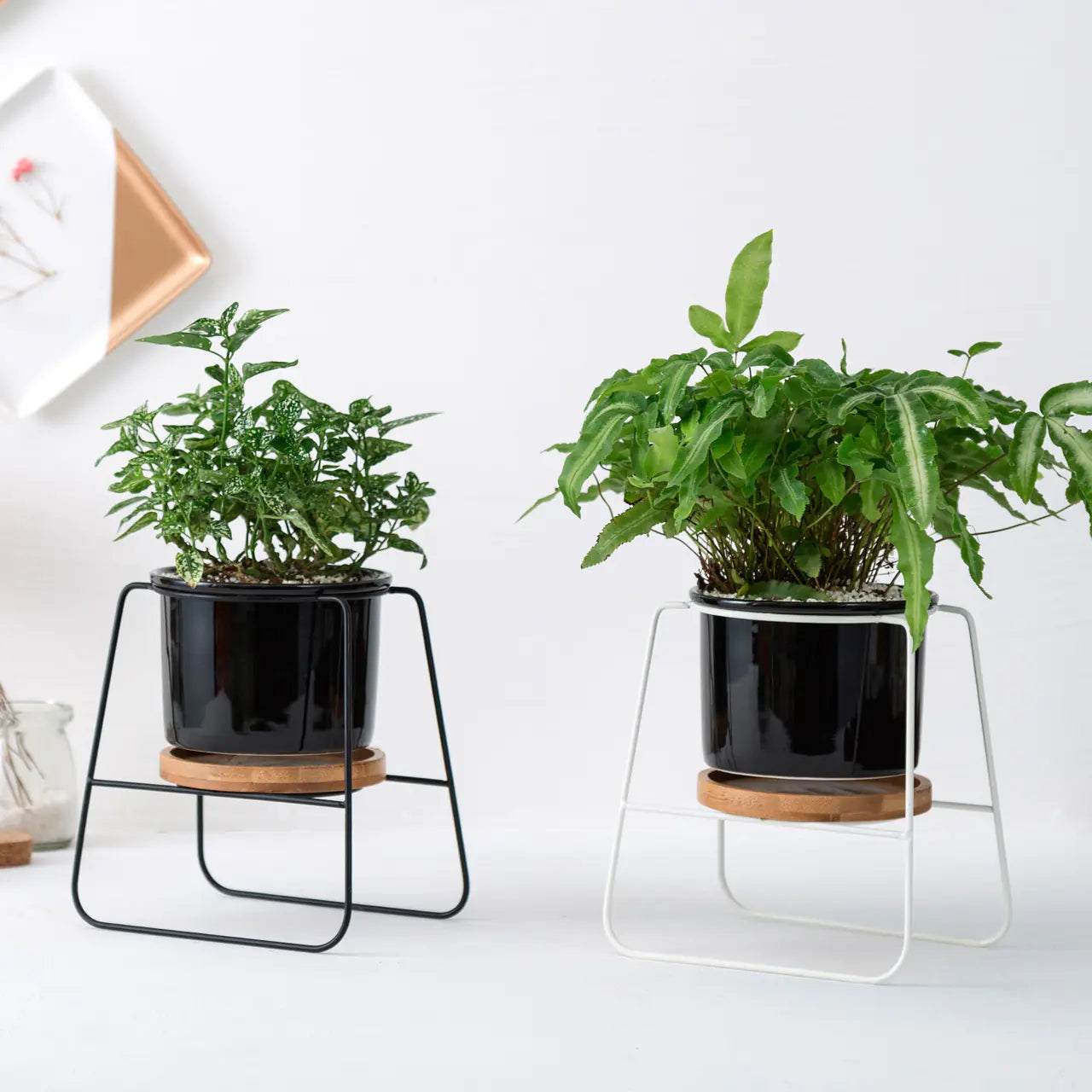 geometric plant pots indoor Geometric Planter Set with Iron Stand – Nue.Aura