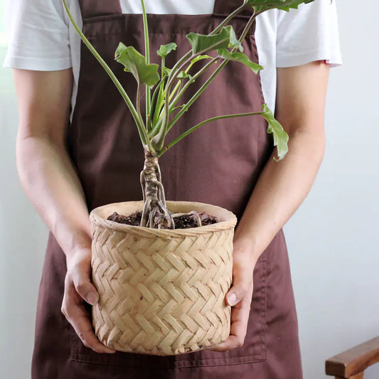 Rustic Woven-Styled Cement Planter