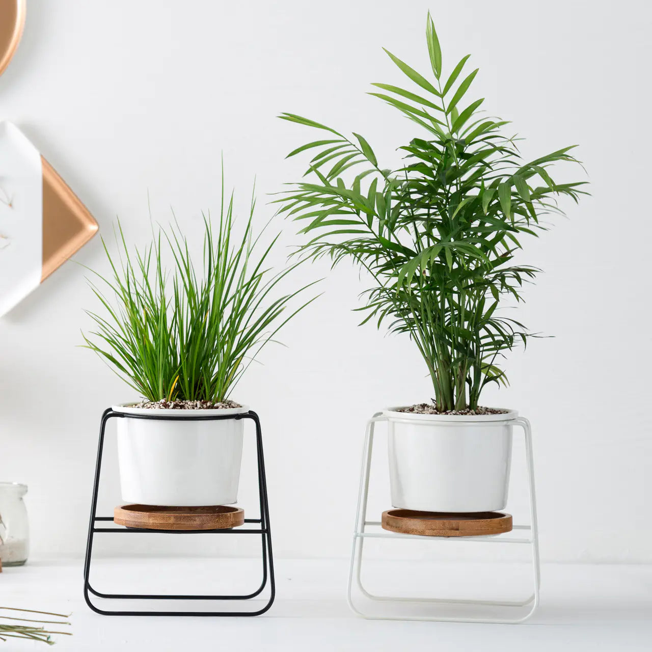 Geometric Planter Set with Iron Stand