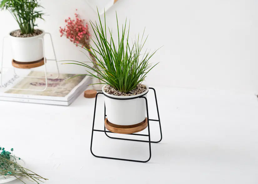 Geometric Planter Set with Iron Stand