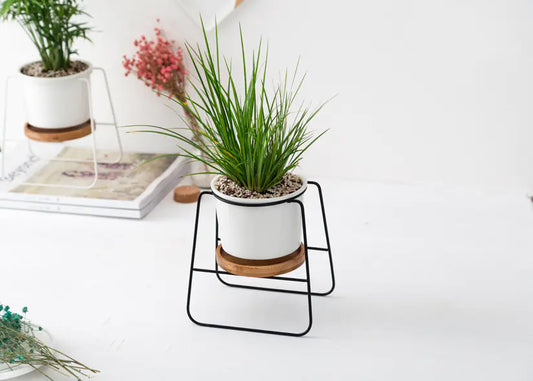 Geometric Planter Set with Iron Stand