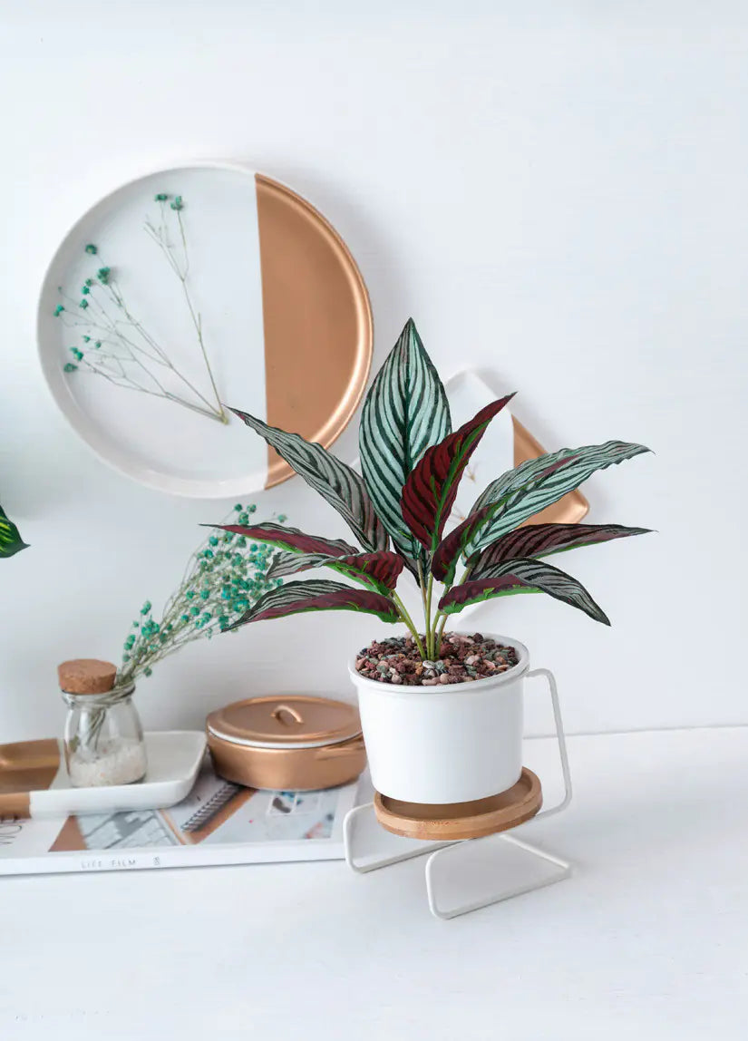 Modern Geometric Planter Set