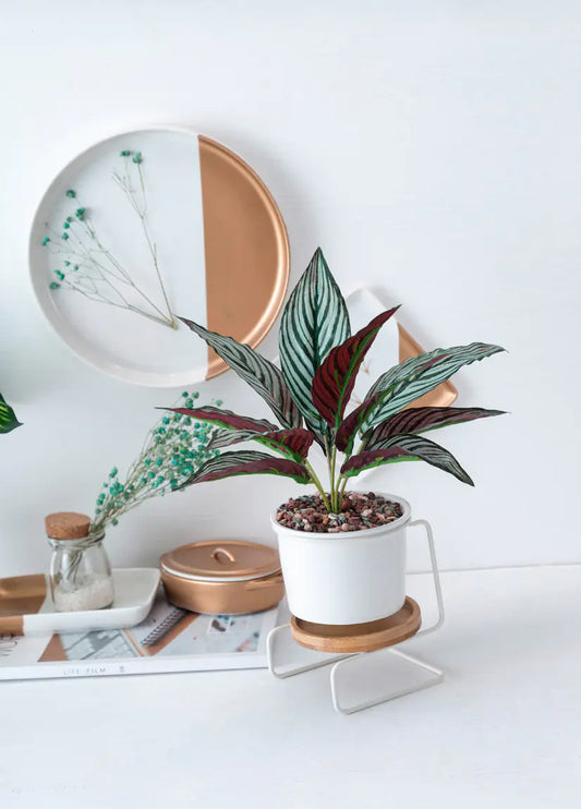 Modern Geometric Planter Set