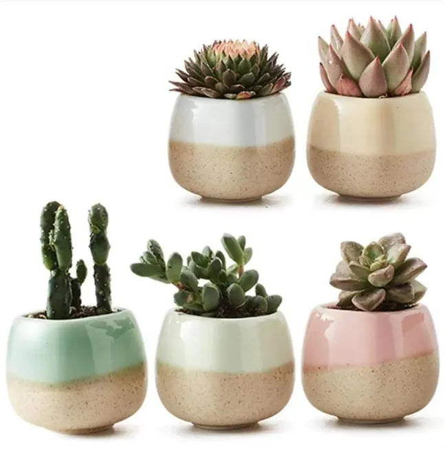 Miniature Colorful Ceramic Planter Set