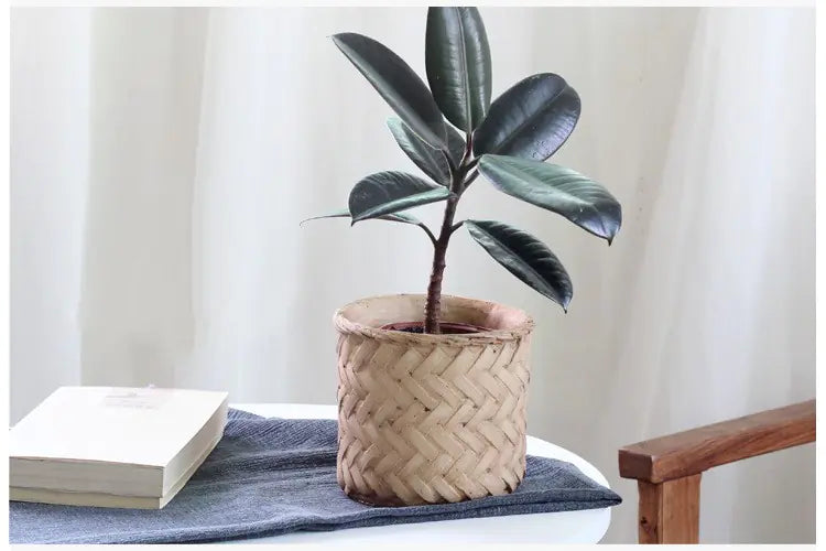 Rustic Woven-Styled Cement Planter