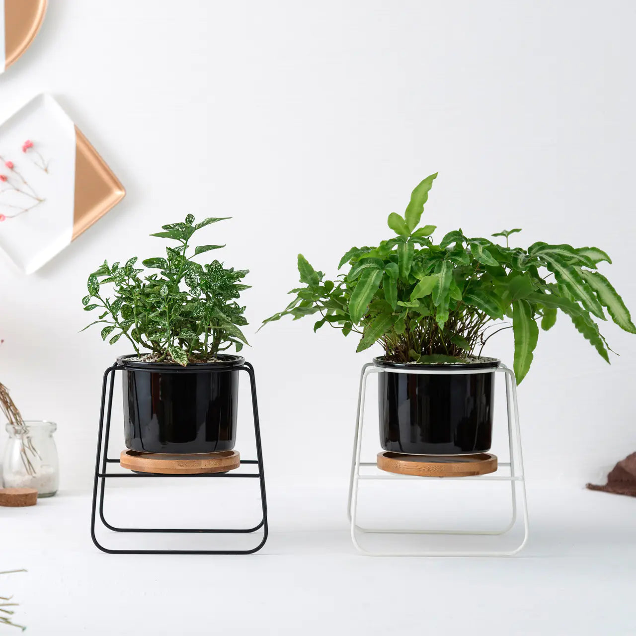 Geometric Planter Set with Iron Stand